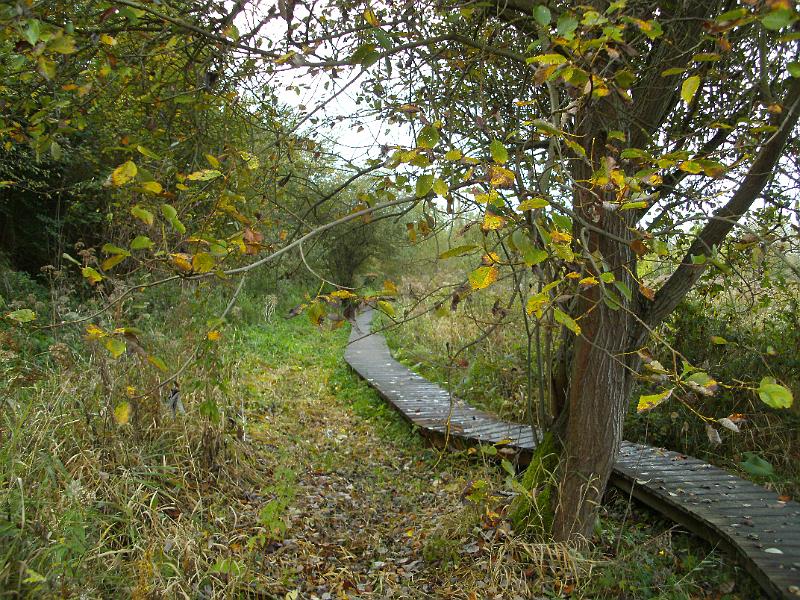 wandeling 22-10-2017_(32).JPG